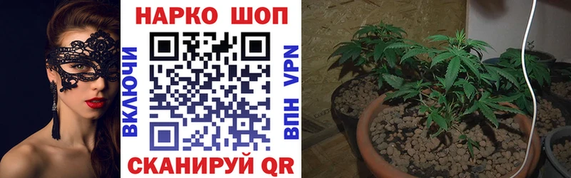 Где купить Хадыженск Cocaine  ГАШ 