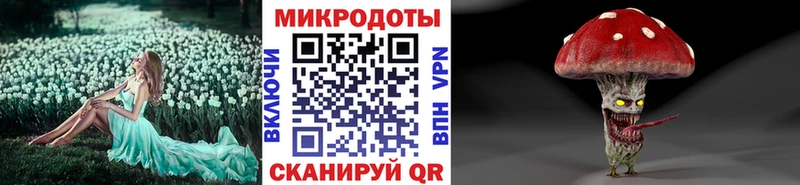 Галлюциногенные грибы Psilocybe  Хадыженск 