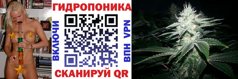 Канабис конопля  где можно купить   Хадыженск 